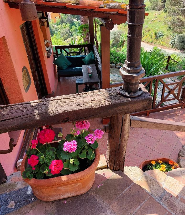 Villetta Dei Fichi D'India Rio dellʼElba Exterior foto